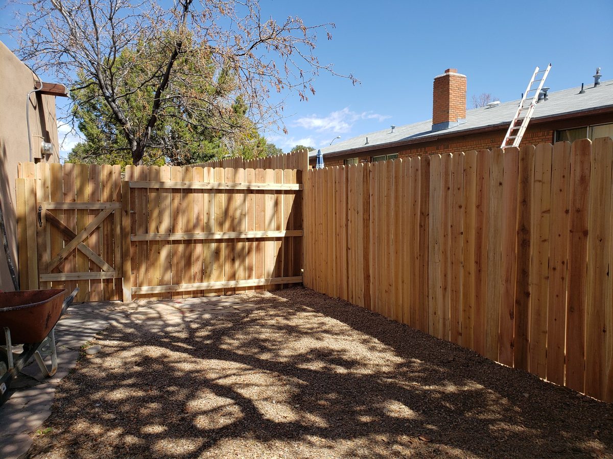 Cedar gate with X-brace